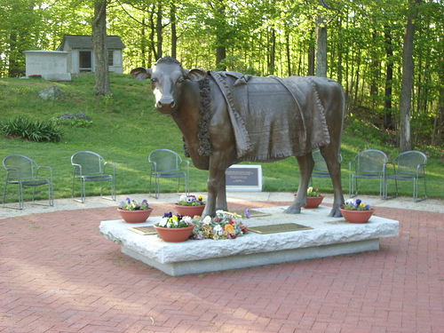sacred_cow Picture of Cow Statue