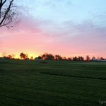 IMG_0021