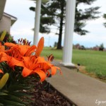 IMG_0058-001